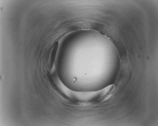 X0000065240141200602242034