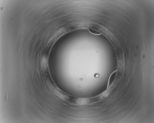 X0000065240142200602242034