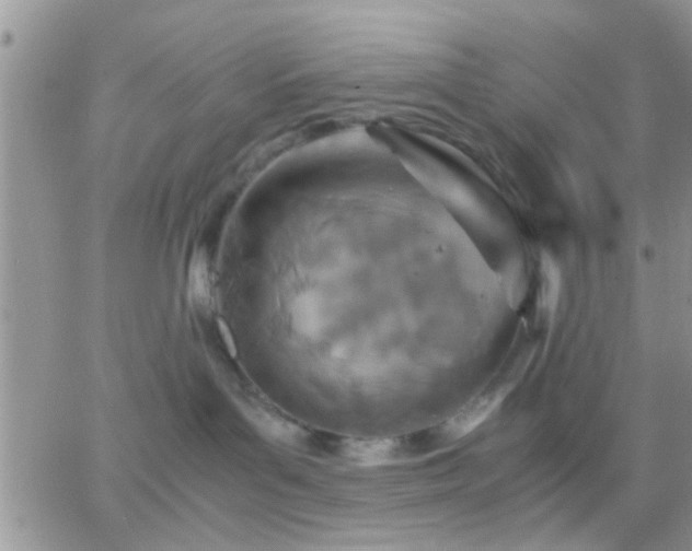 X0000065240143200602242034