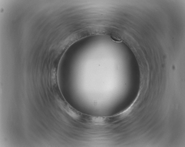 X0000065240144200602242034