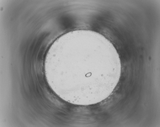 X0000065240146200602242033