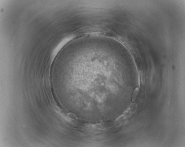 X0000065240147200602242033