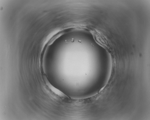 X0000065240148200602242033