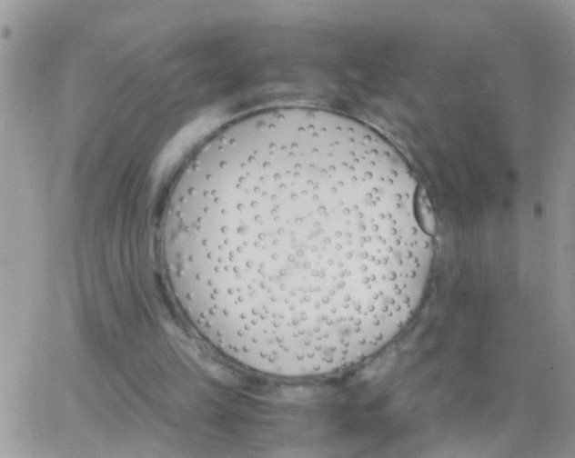 X0000065240149200602242033