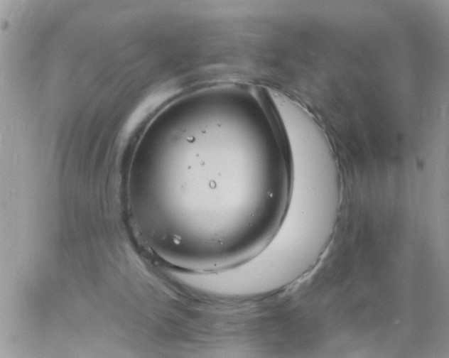 X0000065240150200602242033