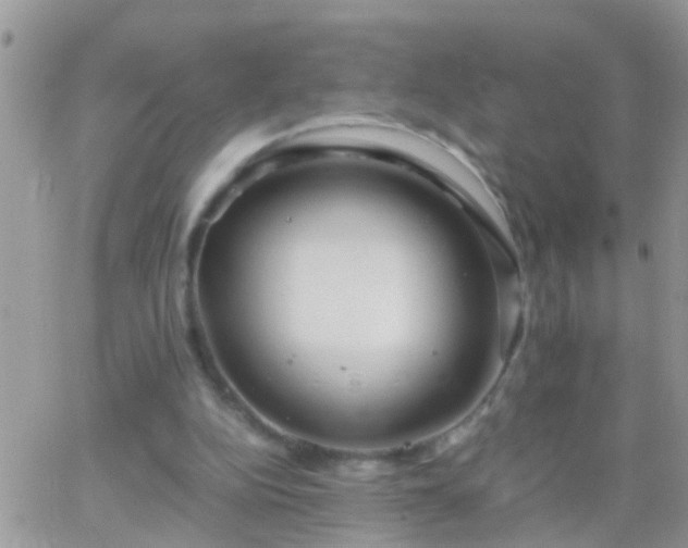 X0000065240152200602242033