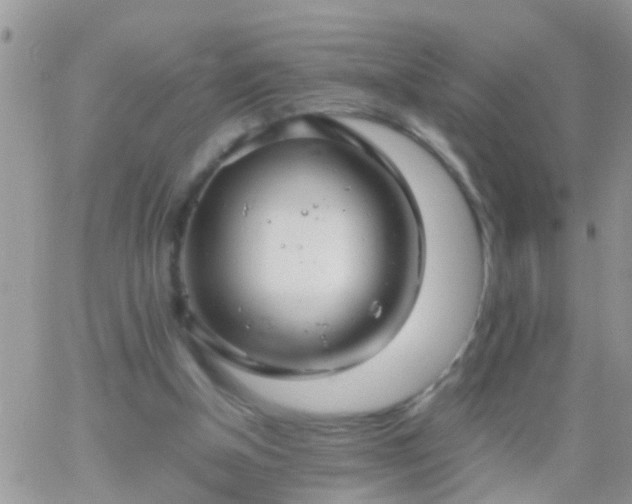 X0000065240154200602242033