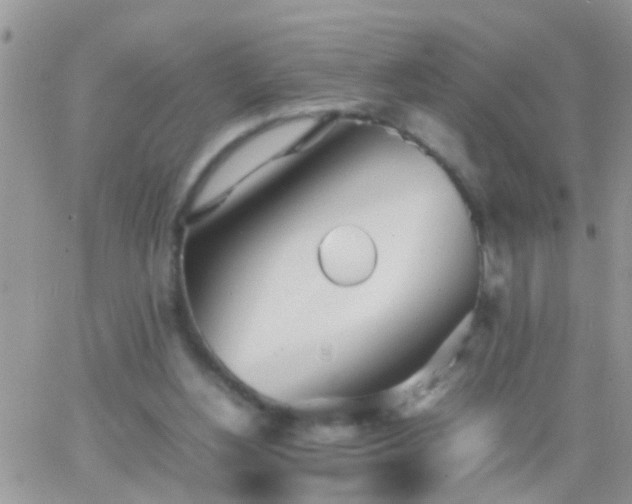 X0000065240156200602242033