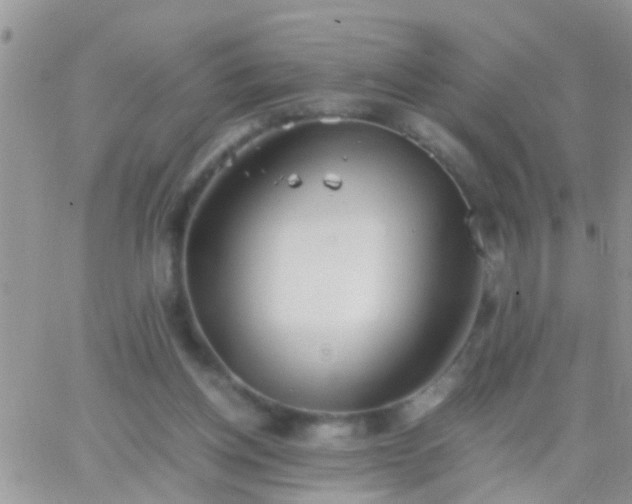 X0000065240158200602242033