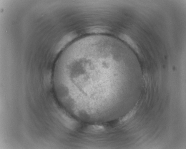 X0000065240159200602242033