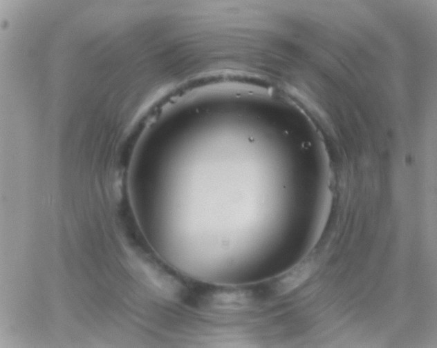 X0000065240160200602242033