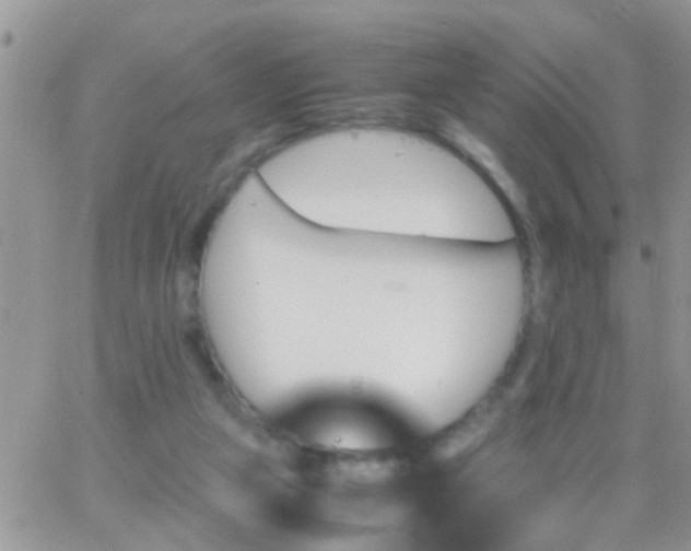 X0000065240161200602242033