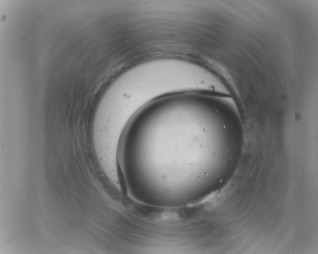 X0000065240162200602242033