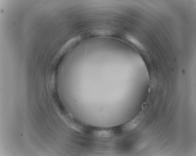 X0000065240163200602242033