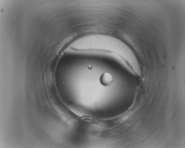 X0000065240164200602242033