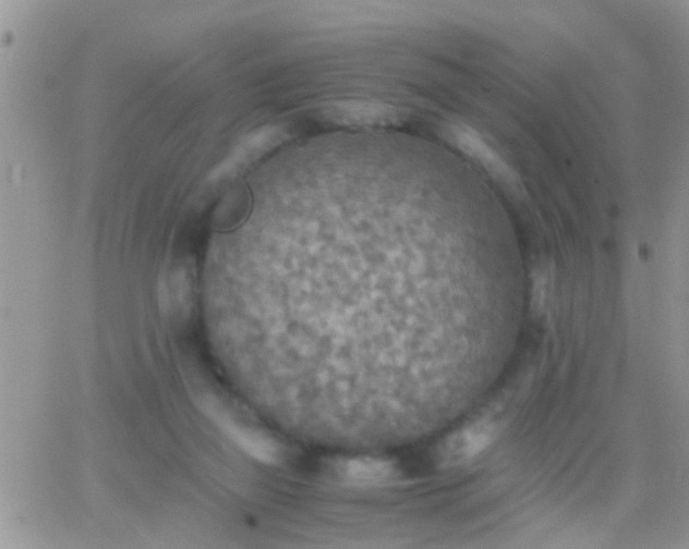 X0000065240165200602242033