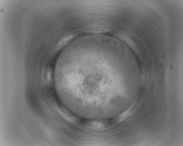 X0000065240166200602242033