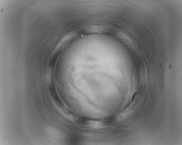 X0000065240167200602242033