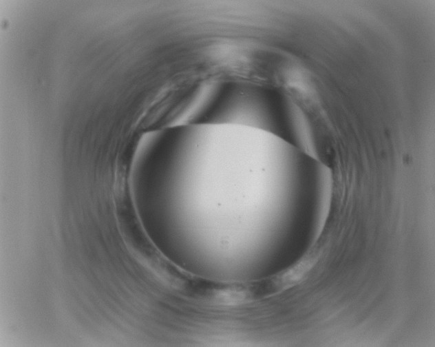 X0000065240168200602242033