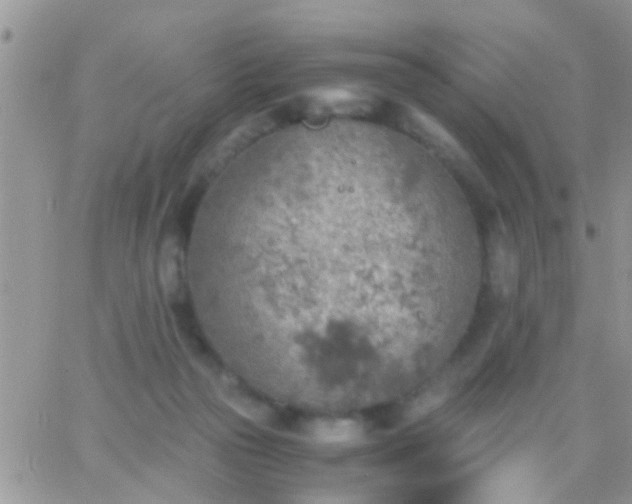 X0000065240169200602242033