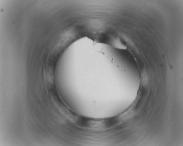 X0000065240170200602242033