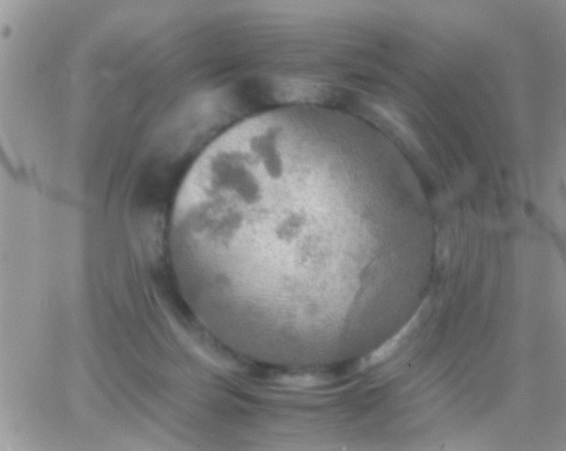 X0000065240171200602242033