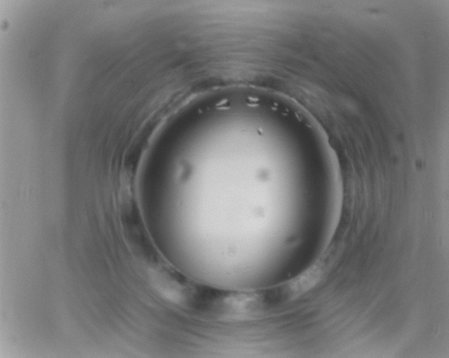 X0000065240172200602242033