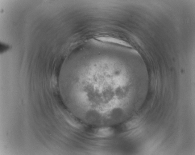 X0000065240173200602242034