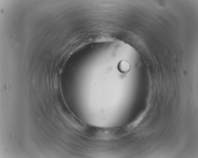 X0000065240174200602242034