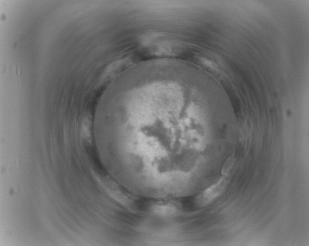 X0000065240175200602242034