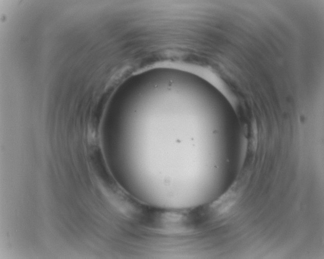 X0000065240176200602242034