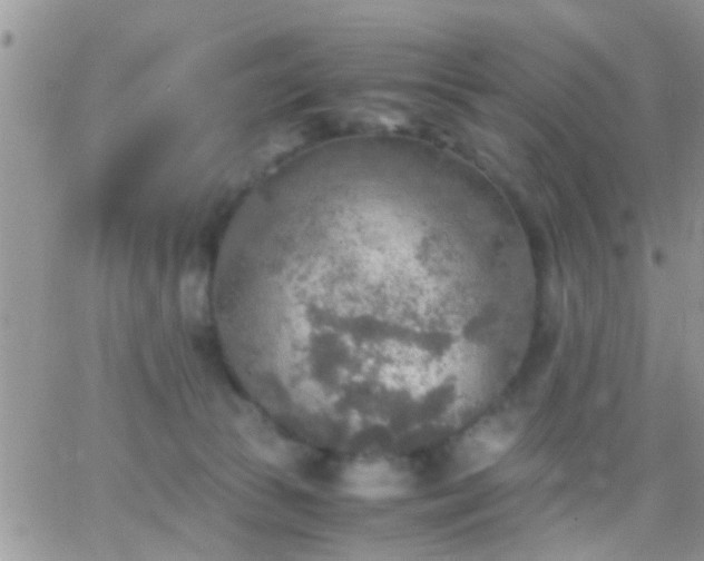 X0000065240177200602242034