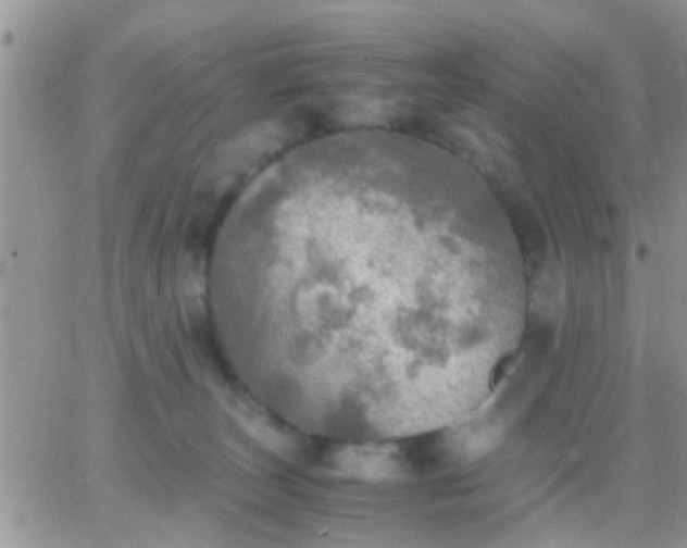 X0000065240179200602242034