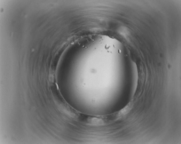 X0000065240180200602242034