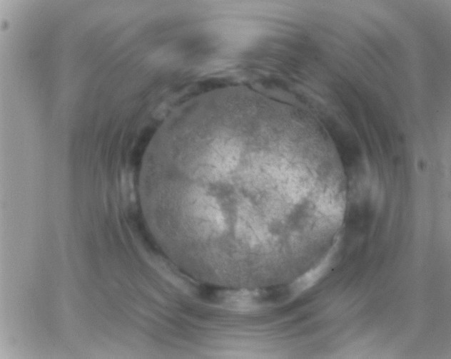 X0000065240182200602242034