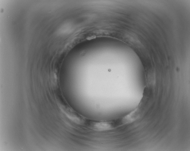 X0000065240183200602242034