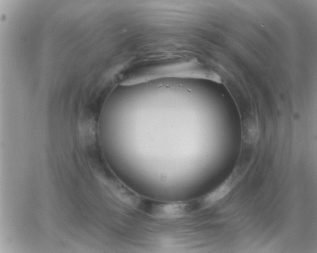 X0000065240184200602242034