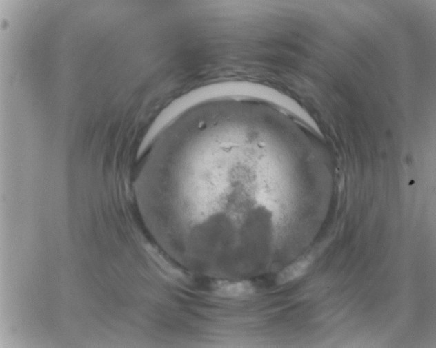 X0000065240185200602242034