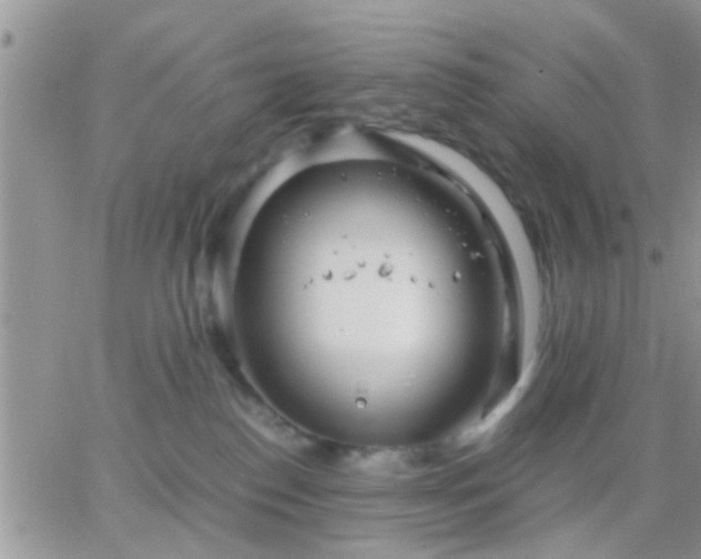 X0000065240186200602242034