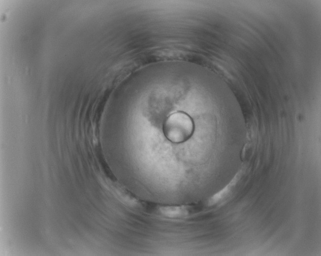 X0000065240187200602242034