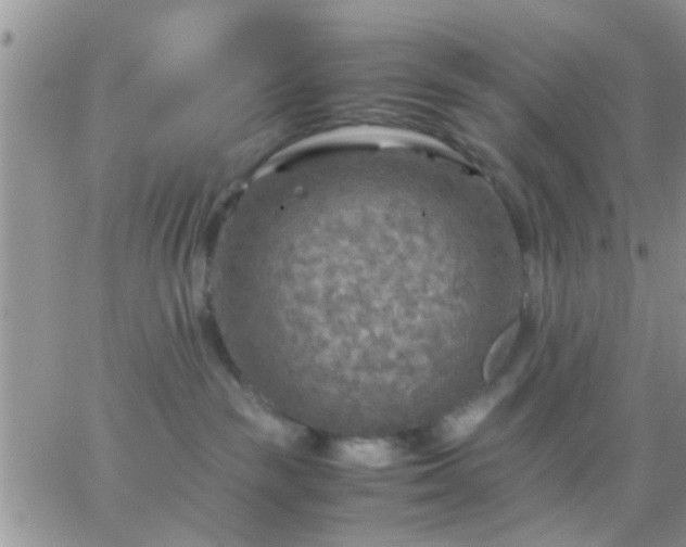 X0000065240189200602242034