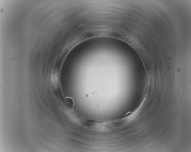 X0000065240190200602242034