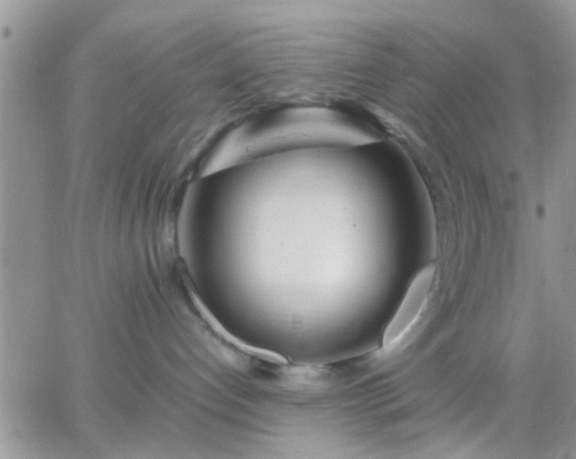 X0000065240192200602242034