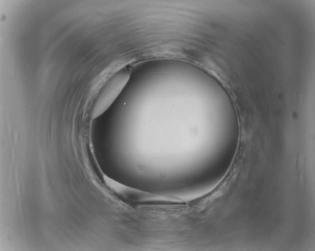 X0000065240193200602242033