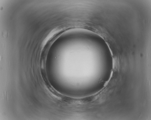 X0000065240195200602242033