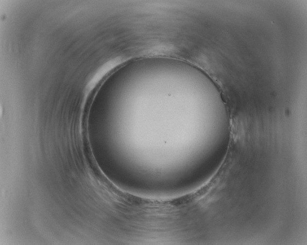 X0000065240196200602242033