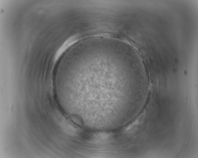 X0000065240198200602242033