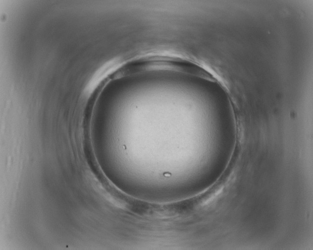 X0000065240199200602242033