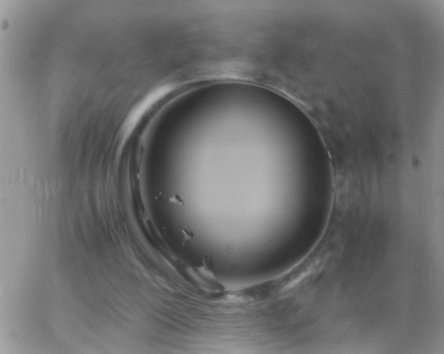 X0000065240200200602242033