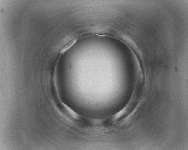 X0000065240201200602242033